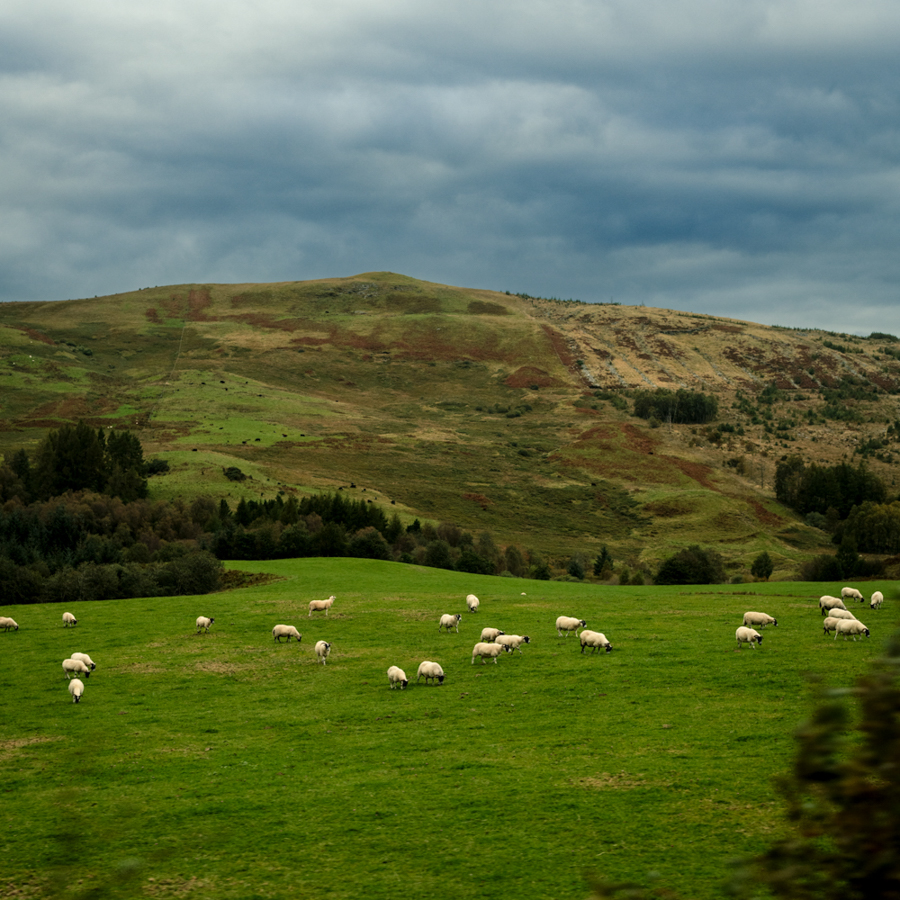 Edinburgh, Schottland, Miriam Mehlman Fotografie, Reise Fotografie, Fotoreise